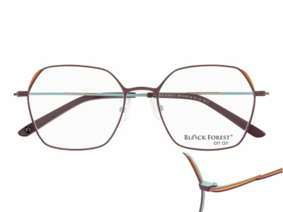 Brille Black Forest BFA1049M