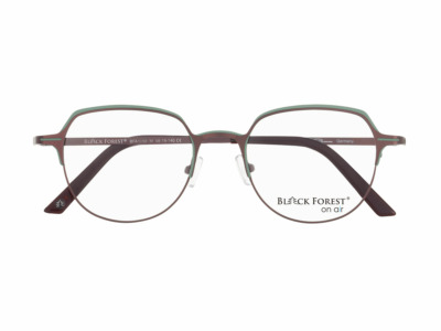 Brille Black Forest BFA1058M