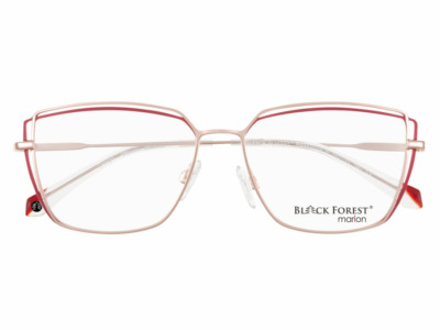 Brille Black Forest BFM7019R