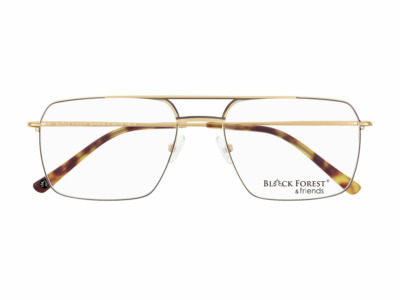 Brille Black Forest BFF5118O