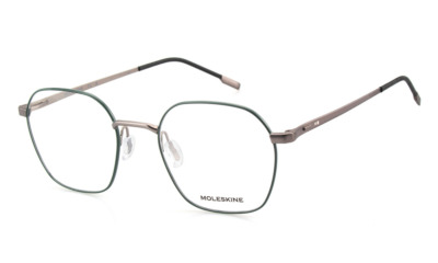 Brille Moleskine 2213 90