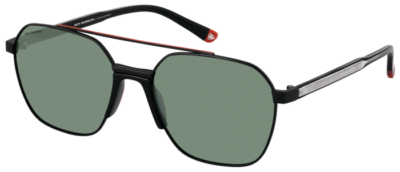 Brille Roy Robson 70117-3