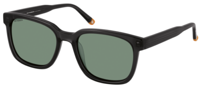 Brille Roy Robson 70118-3