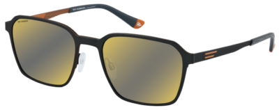 Brille Roy Robson 70124-3