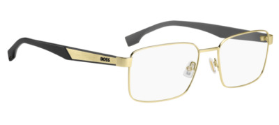 Brille BOSS 1769 J5D