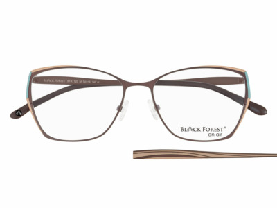 Brille Black Forest BFA 1120 M
