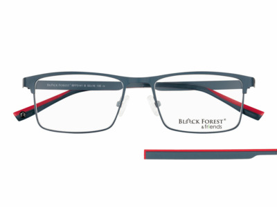 Brille Black Forest BFF 5141 B