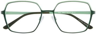 Brille Brille Koonen 4590-1