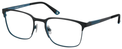 Brille Roy Robson 40119-3
