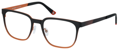 Brille Roy Robson 40122-2 + Clip