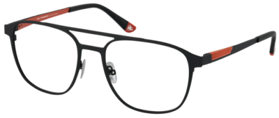 Brille Roy Robson 40134-2