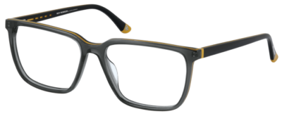 Brille Roy Robson 60131-3