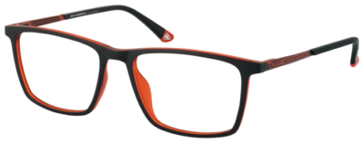 Brille Roy Robson 60139-1 + Clip